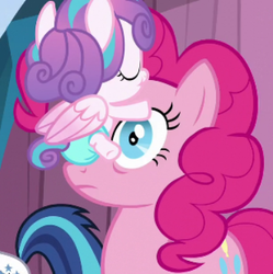 Size: 368x370 | Tagged: safe, screencap, pinkie pie, princess flurry heart, shining armor, g4, the crystalling, cropped, facehug, frown, princess facehugger, shocked, wide eyes
