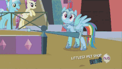 Size: 500x281 | Tagged: safe, screencap, fluttershy, rainbow dash, g4, season 3, the crystal empire, animated, female, frame skipping, hub logo, hubble, jousting, speed lines, the hub