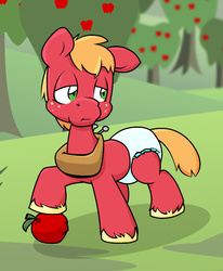 Size: 921x1116 | Tagged: safe, artist:baka-bear, artist:scribe-feather, big macintosh, earth pony, pony, g4, diaper, horse collar, male, non-baby in diaper, solo, stallion