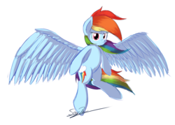 Size: 1023x731 | Tagged: safe, artist:sheandog, rainbow dash, g4, female, large wings, simple background, solo