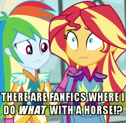 Size: 350x340 | Tagged: safe, screencap, rainbow dash, sunset shimmer, equestria girls, g4, my little pony equestria girls: friendship games, duo, female, homedick shimmer, image macro, implied bestiality, meme