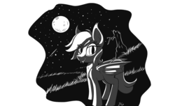 Size: 1280x777 | Tagged: safe, artist:swiftsketchpone, oc, oc only, bat pony, pony, monochrome, moon, solo