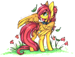 Size: 692x527 | Tagged: safe, artist:tay-niko-yanuciq, oc, oc only, pegasus, pony, flower, simple background, solo, transparent background