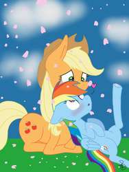 Size: 768x1024 | Tagged: safe, artist:ilaria122, applejack, rainbow dash, g4, blushing, cherry blossoms, female, lesbian, ship:appledash, shipping, wide eyes