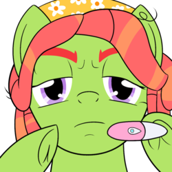 Size: 920x920 | Tagged: safe, artist:dsninja, tree hugger, pony, g4, angry, eyebrows, hooves, pointing, pregnancy test, pregnancy test meme, solo