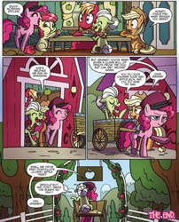 Size: 1346x1665 | Tagged: safe, artist:agnes garbowska, idw, official comic, apple bloom, applejack, big macintosh, granny smith, pinkie pie, earth pony, pony, friends forever #27, g4, my little pony: friends forever, spoiler:comic, anatomically incorrect, male, stallion