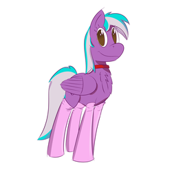 Size: 2500x2500 | Tagged: safe, artist:darklordsnuffles, oc, oc only, oc:numbers, pegasus, pony, chest fluff, clothes, collar, high res, looking at you, smiling, socks, solo