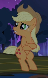 Size: 356x573 | Tagged: safe, screencap, applejack, earth pony, pony, g4, sleepless in ponyville, cold, cropped, crossed arms, freezing, shivering, sitting