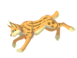 Size: 2048x1536 | Tagged: safe, artist:perle-de-suie, applejack, big cat, lynx, g4, applecat, female, fluffy, frown, necklace, running, simple background, solo, species swap, transparent background