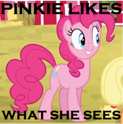 Size: 460x466 | Tagged: safe, pinkie pie, g4, eyes on the prize, image macro, meme, stare