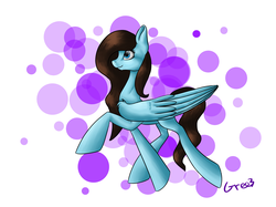 Size: 4408x3304 | Tagged: safe, artist:gree3, oc, oc only, pegasus, pony, solo