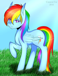 Size: 1024x1330 | Tagged: safe, artist:cannoncar, rainbow dash, g4, backwards cutie mark, female, raised hoof, solo