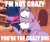 Size: 800x673 | Tagged: safe, edit, twilight sparkle, g4, crazy face, faic, floppy ears, image macro, insanity, meme, messy mane, text edit, twilight snapple