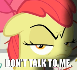 Size: 779x708 | Tagged: safe, edit, edited screencap, screencap, apple bloom, g4, on your marks, angry, caption, female, image macro, looking at you, reaction image, snapple bloom, solo, text