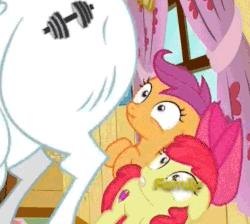 Size: 630x564 | Tagged: safe, screencap, apple bloom, bulk biceps, scootaloo, earth pony, pony, g4, on your marks, animated, discovery family logo, eyes on the prize, female, filly, looking at butt, out of context, scrunchy face