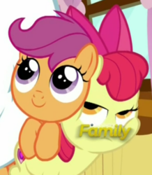 Size: 387x444 | Tagged: safe, screencap, apple bloom, scootaloo, earth pony, pegasus, pony, g4, my little pony: friendship is magic, on your marks, cute, cutealoo, discovery family logo, faic, female, filly, smiling, solo, squished, squishy cheeks