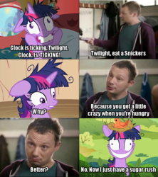 Size: 640x720 | Tagged: safe, edit, edited screencap, screencap, twilight sparkle, bird, g4, lesson zero, bird nest, comic, crazy face, faic, image macro, meme, nest, nice job breaking it hero, screencap comic, snickers, twilight snapple, you're not you when you're hungry