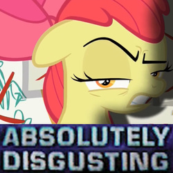 Size: 682x682 | Tagged: safe, edit, edited screencap, screencap, apple bloom, g4, on your marks, absolutely disgusting, caption, cropped, expand dong, female, image macro, looking at you, meme, reaction image, snapple bloom, solo, text