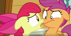 Size: 852x434 | Tagged: safe, screencap, apple bloom, scootaloo, g4, on your marks, boop, discovery family logo, eye contact, noseboop