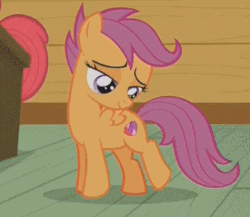 Size: 345x299 | Tagged: safe, screencap, apple bloom, scootaloo, g4, on your marks, animated, cutie mark, cutie mark adoration, female, looking down, stare, the cmc's cutie marks