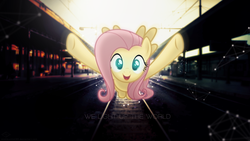 Size: 1920x1080 | Tagged: safe, artist:minhbuinhat99, artist:thatguy1945, artist:vashar23, fluttershy, human, pegasus, pony, g4, female, flying, glowing, incoming hug, it's coming right at us, looking at you, open mouth, railroad, smiling, solo, train station, train tracks, underhoof, vector, wallpaper