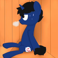 Size: 3000x3000 | Tagged: safe, artist:triplesevens, oc, oc only, oc:lucid dream, pony, unicorn, high res, horn, male, sauna, sitting, solo, stallion, steam, unicorn oc