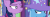 Size: 500x172 | Tagged: safe, screencap, princess celestia, trixie, twilight sparkle, alicorn, pony, unicorn, g4, no second prances, animated, animosity, eye contact, fake smile, female, forced smile, frown, glare, grin, lidded eyes, looking at each other, looking back, mare, raised eyebrow, rivalry, smiling, smirk, twilight sparkle (alicorn), unamused, wide eyes