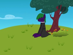 Size: 1500x1125 | Tagged: safe, artist:prism note, oc, oc only, oc:gentle hooves, earth pony, pony, bush, clothes, grass, meditating, robe, sky, solo, tree