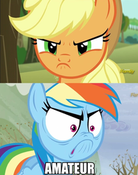 Size: 759x959 | Tagged: safe, edit, edited screencap, screencap, applejack, rainbow dash, g4, no second prances, tanks for the memories, angry, caption, comparison, do i look angry, text