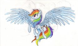 Size: 3510x2086 | Tagged: safe, artist:gaelledragons, rainbow dash, g4, female, flying, high res, solo, spread wings
