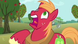 Size: 1280x720 | Tagged: safe, screencap, big macintosh, earth pony, pony, g4, no second prances, male, scared, stallion