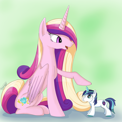 Size: 1550x1550 | Tagged: safe, artist:konik006, princess cadance, shining armor, g4, plushie