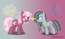 Size: 5329x3200 | Tagged: dead source, safe, artist:kingtoby19, cheerilee, marble pie, earth pony, pony, g4, absurd resolution, cutie mark, harsher in hindsight, hilarious in hindsight, implied cheerimac, implied marblemac, rivalry