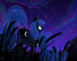 Size: 4200x3300 | Tagged: safe, artist:template93, princess luna, alicorn, pony, g4, both cutie marks, butt, dock, female, high res, night, plot, shooting star, solo, stars