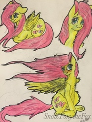 Size: 774x1032 | Tagged: safe, artist:snowfoxythefox, fluttershy, g4, alternate hairstyle, blowing, blushing, colored sketch, fluffy, smiling, traditional art