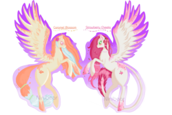 Size: 1280x853 | Tagged: safe, artist:niniibear, caramel, oc, oc:caramel blossom, oc:strawberry cheeks, pegasus, pony, g4, adoptable, best friends, blushing, cute, eye contact, flower, flower in hair, food, orange, pink, rearing, simple background, smiling, spread wings, transparent background
