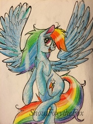 Size: 774x1032 | Tagged: safe, artist:snowfoxythefox, rainbow dash, g4, colored, colored pencil drawing, female, fluffy, flying, happy, smiling, solo, traditional art