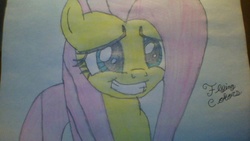 Size: 1024x576 | Tagged: safe, artist:dcdavid28, fluttershy, g4, female, solo, traditional art