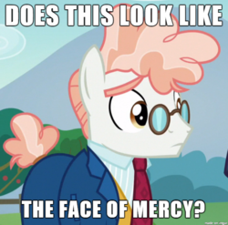 Size: 610x602 | Tagged: safe, edit, edited screencap, screencap, svengallop, earth pony, pony, g4, the mane attraction, face of mercy, image macro, male, meme, sad, solo, stallion, svenabetes