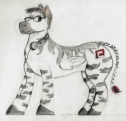 Size: 4476x4302 | Tagged: safe, artist:zecora-iais7081, oc, oc only, oc:elkhart junction, pegasus, pony, zebra, absurd resolution, ponysona, solo, traditional art