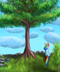 Size: 3000x3600 | Tagged: safe, artist:vladimir-olegovych, rainbow dash, pony, g4, female, high res, solo