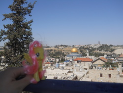 Size: 3264x2448 | Tagged: safe, artist:zoomzoom11, fluttershy, g4, brushable, dome of the rock, high res, irl, israel, jerusalem, photo, ponies around the world, toy