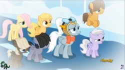 Size: 1281x718 | Tagged: safe, screencap, dumbbell, fluttershy, hoops, mango dash, ms. whirlwind, quarterback, sweet pop, pegasus, pony, g4, newbie dash, season 6, adorablewind, colt, colt dumbbell, colt hoops, colt quarterback, cute, discovery family logo, filly, filly fluttershy, flashback, hair over eyes, hair over one eye, mangobetes, shyabetes, sweet sweet pop, teacher, younger