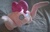 Size: 2297x1477 | Tagged: safe, artist:p0w3rporco, pinkie pie, headcrab, g4, half-life, irl, photo, plushie, species swap