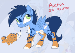 Size: 900x636 | Tagged: dead source, safe, artist:mistydash, oc, oc only, oc:surfin pony, pegasus, pony, auction, solo, zoom layer