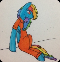 Size: 622x638 | Tagged: safe, artist:whovian072200, rainbow dash, g4, clothes, female, prison, prison outfit, prisoner rd, solo, traditional art