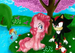 Size: 2387x1687 | Tagged: safe, artist:simsvaleria, pinkie pie, rainbow dash, g4, crossover, duo focus, female, flower, grass, lake, looking at each other, looking at someone, mare, sega, shadowpie, smiling, smiling at each other, sonic the hedgehog, sonic the hedgehog (series), tree, video game, water