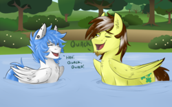 Size: 1600x1000 | Tagged: safe, artist:jeshh, oc, oc only, oc:silver lining, oc:snow storm, pegasus, pony, behaving like a bird, pegaduck, pond, quack, swimming