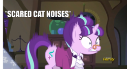 Size: 2184x1189 | Tagged: safe, edit, edited screencap, screencap, snowfall frost, starlight glimmer, a hearth's warming tail, g4, behaving like a cat, descriptive noise, discovery family logo, female, frown, gritted teeth, image macro, meme, solo, wide eyes