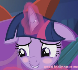 Size: 428x387 | Tagged: safe, edit, edited screencap, screencap, twilight sparkle, alicorn, pony, a hearth's warming tail, g4, behaving like pinkie pie, female, floppy ears, image macro, mare, meme, senpai noticed me, solo, twilight sparkle (alicorn)